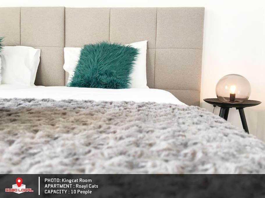 Royal Cats Apartment Porto Ngoại thất bức ảnh