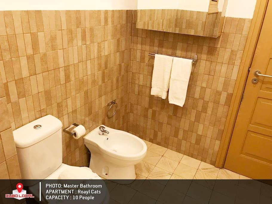 Royal Cats Apartment Porto Ngoại thất bức ảnh