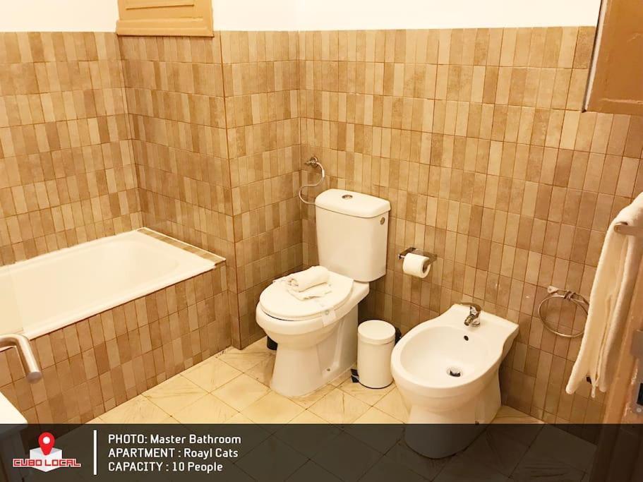 Royal Cats Apartment Porto Ngoại thất bức ảnh